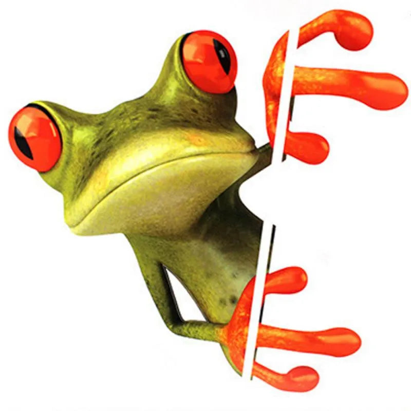 2 Types Funny Frog Car Stickers 3D