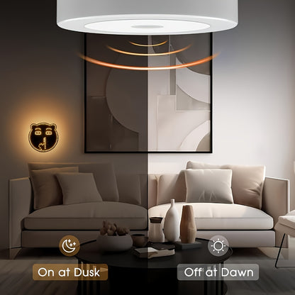 Bear Expression Light, Car Light